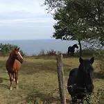 Epotx Etxea 公寓 *