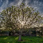 Epotx Etxea * 吉塔里亚