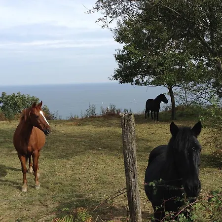 Epotx Etxea Apartment *