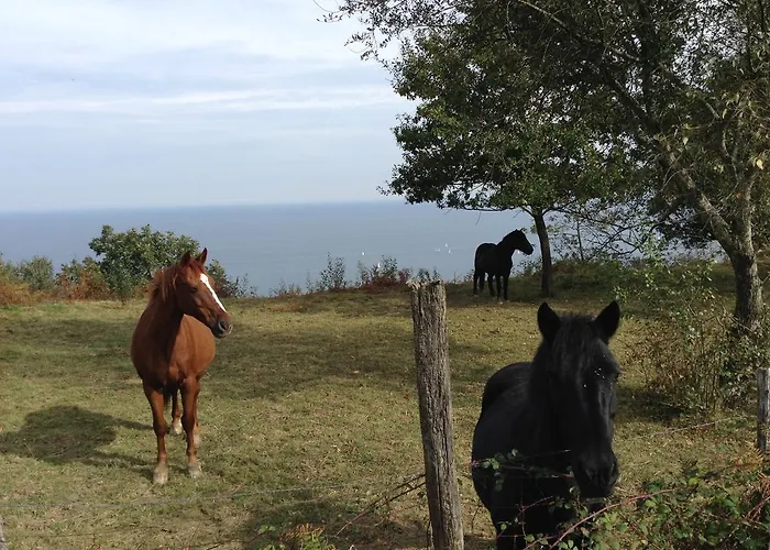 Epotx Etxea Apartment *