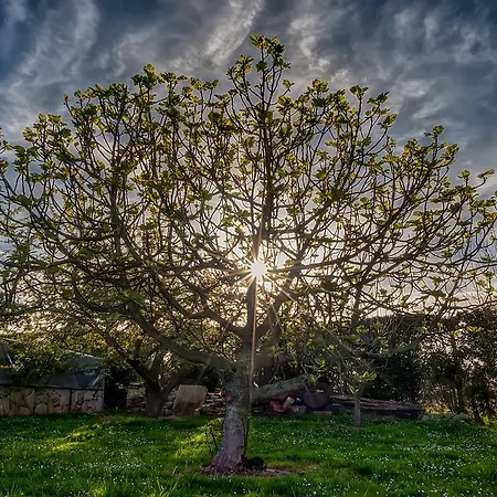 Epotx Etxea * Гетария