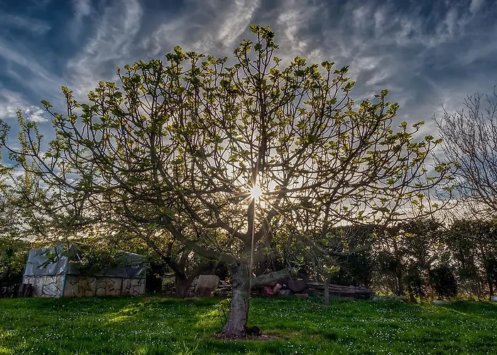 Epotx Etxea * 吉塔里亚