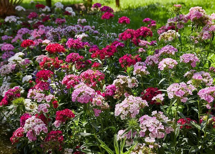 Epotx Etxea 公寓 *