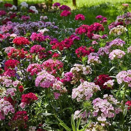 Epotx Etxea Apartman *